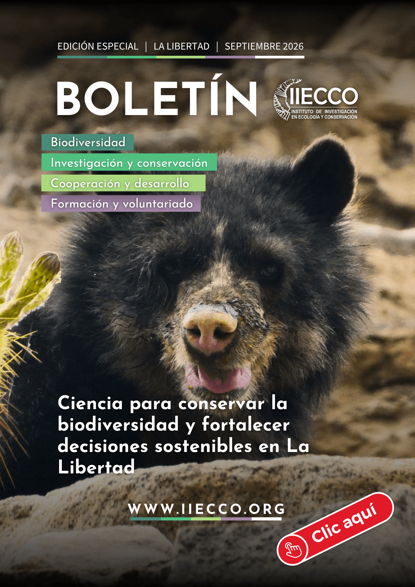 Boletín IIECCO 2026 (1)